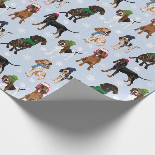 Petten lichtblauw cadeaupapier (Hoek)