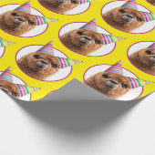 Petten van Alpaca Wearing Party Cadeaupapier (Hoek)