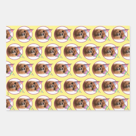 Petten van Alpaca Wearing Party Inpakpapier Vel (Voorkant 2)