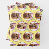 Petten van Alpaca Wearing Party Inpakpapier Vel (In situ)