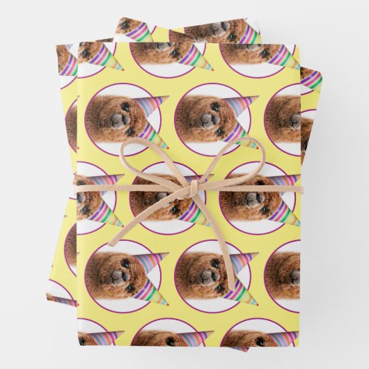 Petten van Alpaca Wearing Party Inpakpapier Vel (In situ)