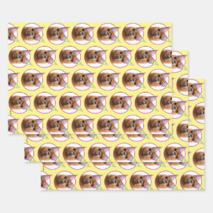 Petten van Alpaca Wearing Party Inpakpapier Vel