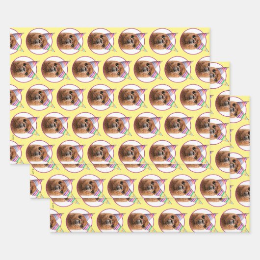 Petten van Alpaca Wearing Party Inpakpapier Vel (Set)