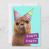 Petten van Alpaca Wearing Party Kaart (Voorkant)