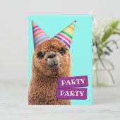 Petten van Alpaca Wearing Party Kaart (Staand voorkant)