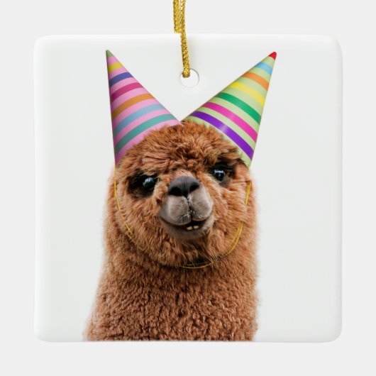 Petten van Alpaca Wearing Party Keramisch Ornament (Voorkant)