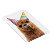 Petten van Alpaca Wearing Party Magneet (Rechterzijde)