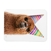 Petten van Alpaca Wearing Party Magneet (Horizontaal)