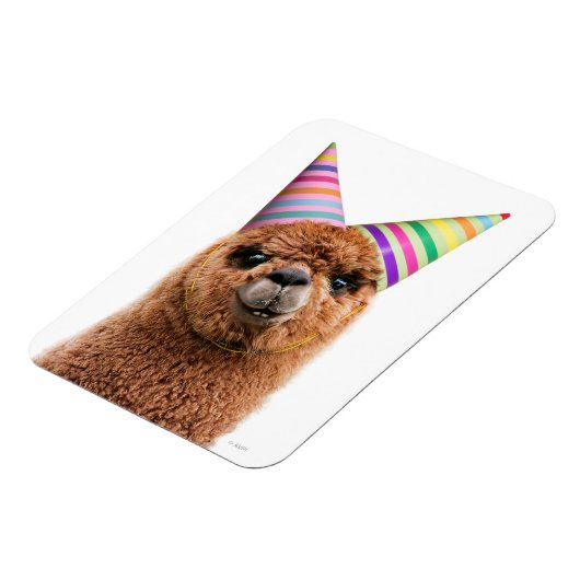 Petten van Alpaca Wearing Party Magneet (Linkerzijde)