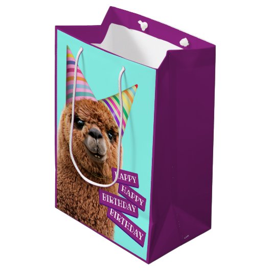 Petten van Alpaca Wearing Party Medium Cadeauzakje (Voorkant Gekanteld)