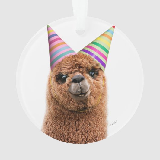 Petten van Alpaca Wearing Party Ornament (achterkant)