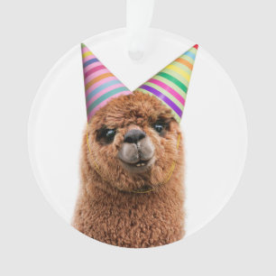 Petten van Alpaca Wearing Party Ornament