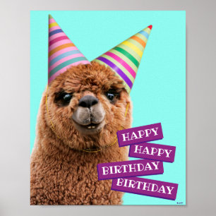 Petten van Alpaca Wearing Party Poster