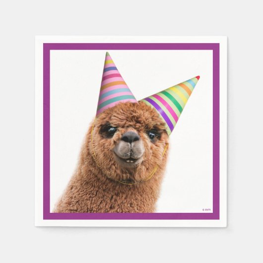 Petten van Alpaca Wearing Party Servet (Voorkant)