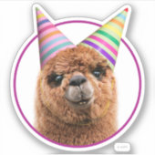 Petten van Alpaca Wearing Party Sticker (Voorkant)