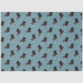 Petten van de Magicans, Magische Wanden en Sterren Tissuepapier (Voorkant)