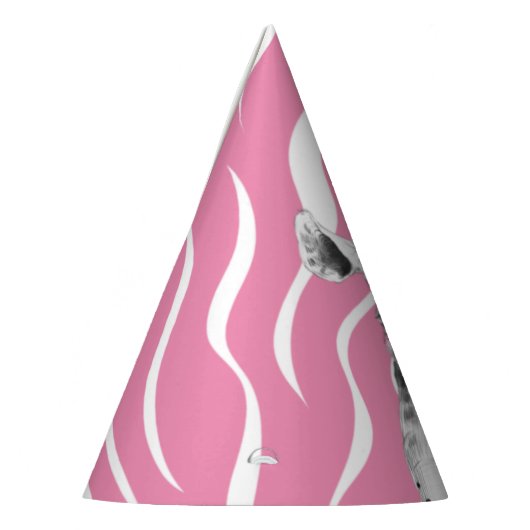 Petten van de partij Dieren | Dag van de dieren Feesthoedjes (Links)