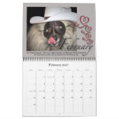 Petten voor omroep voor reddingkalender kalender (Feb 2027)
