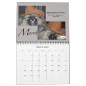 Petten voor omroep voor reddingkalender kalender (Mar 2026)