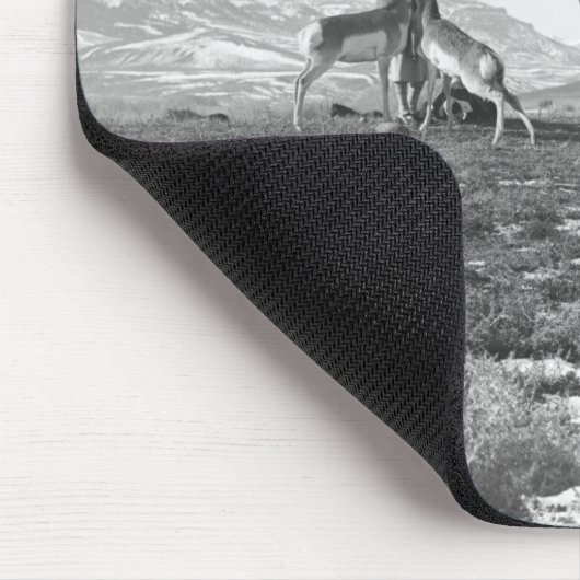 Petting Antelopes. Muismat (Hoek)