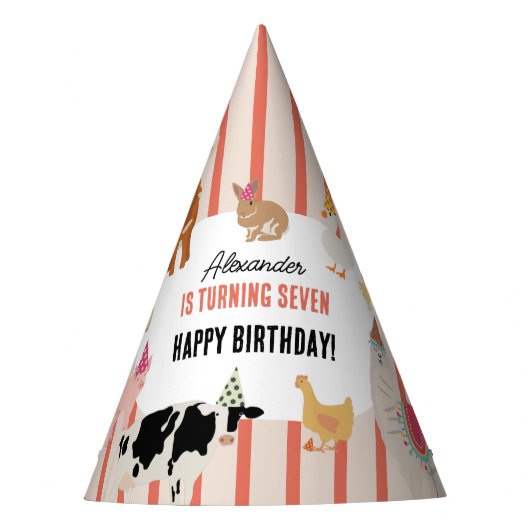 Petting Zoo Party Animals Barnyard Birthday Theme Feesthoedjes (Voorkant)