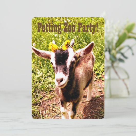 Petting Zoo Party. Pas deze uitnodiging aan. (Staand voorkant)