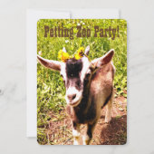 Petting Zoo Party. Pas deze uitnodiging aan. (Voorkant)