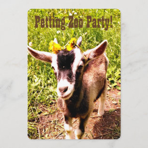 Petting Zoo Party. Pas deze uitnodiging aan.