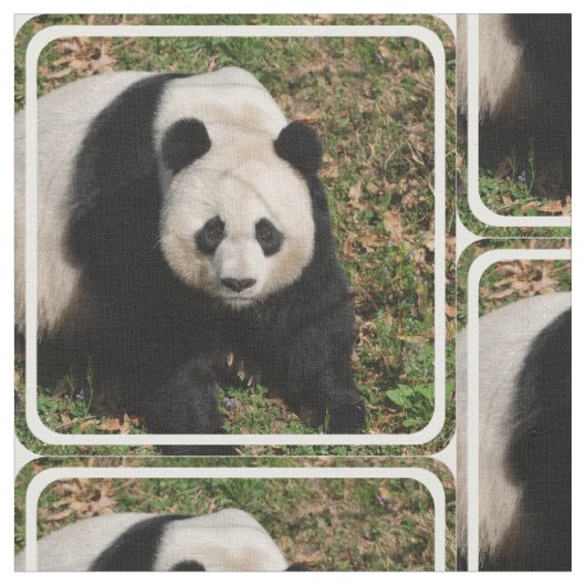 Petulant Panda Beer Stof (Close Up)