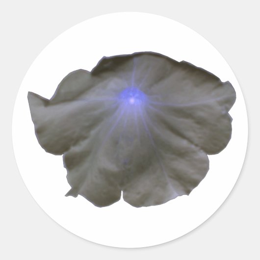 Petunia Black en Blue Stickers (Voorkant)