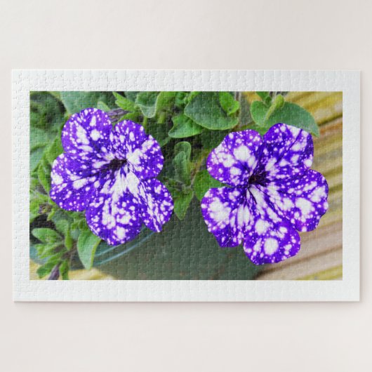 Petunia-bloemen Legpuzzel (Horizontaal)