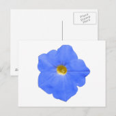 Petunia Blue en Yellow Briefkaart (Voorkant / Achterkant)