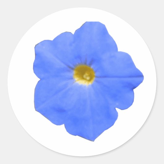 Petunia Blue en Yellow Sticker (Voorkant)