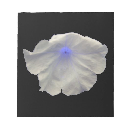 Petunia Blue Glow-notebook Notitieblok (Voorkant)