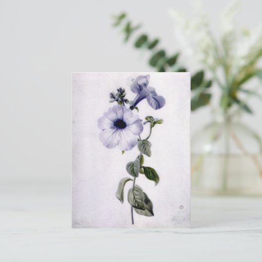 Petunia Briefkaart (Staand voorkant)