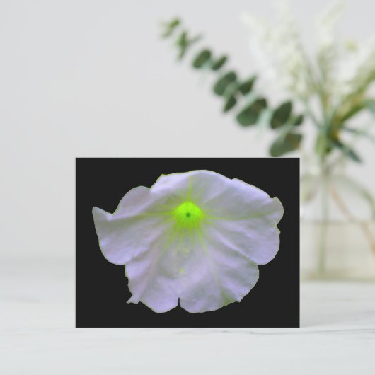 Petunia Bright Green Briefkaart (Staand voorkant)