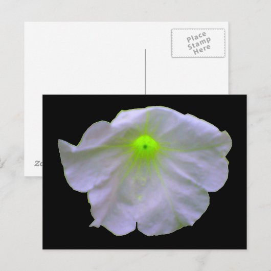 Petunia Bright Green Briefkaart (Voorkant / Achterkant)