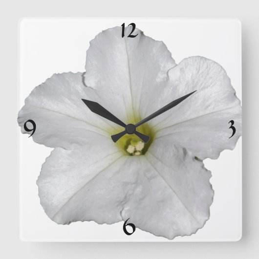 Petunia Flower Floral kerstdecor White Cool Vierkante Klok (Voorkant)