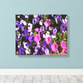 Petunia Flower Patch Canvas Afdruk (Insitu (Houten vloer))