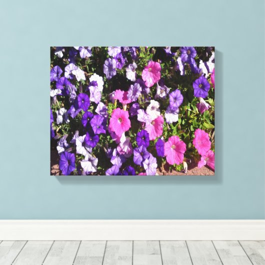 Petunia Flower Patch Canvas Afdruk (Insitu (Houten vloer))