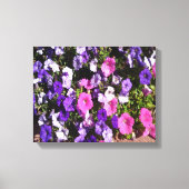 Petunia Flower Patch Canvas Afdruk (Voorkant)