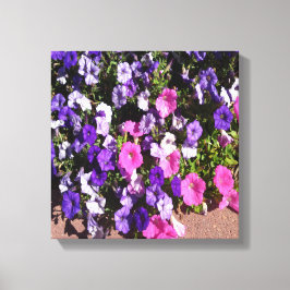 Petunia Flower Patch Canvas Afdruk