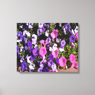 Petunia Flower Patch Canvas Afdruk