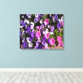 Petunia Flower Patch Canvas Afdruk (Insitu (Houten vloer))