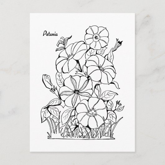  Petunia Flowers Adult Coloring Briefkaart (Voorkant)