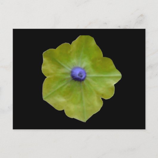 Petunia Green en Blue Briefkaart (Voorkant)