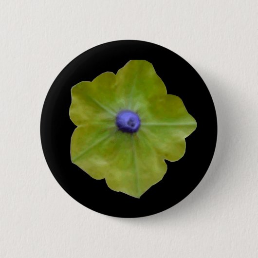 Petunia Green en Blue Button (Voorkant)