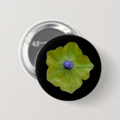 Petunia Green en Blue Button (Voorkant /achterkant)