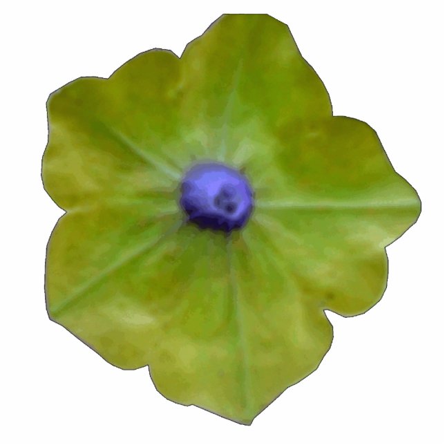 Petunia Green en Blue Photo Sculpture Staand Fotobeeldje (Voorkant)