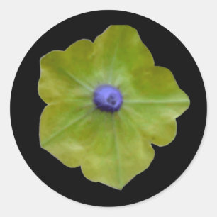 Petunia Green en Blue Sticker